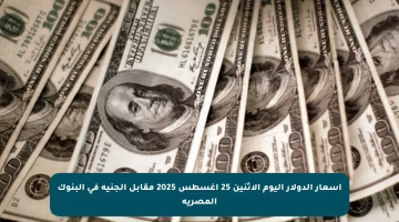 أسعار الدولار اليوم الاثنين 25 أغسطس 2025 مقابل الجنيه في البنوك المصرية